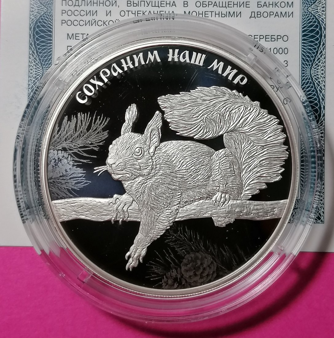 Russland 3 Rubel 2023 Silber - Eurasisches Eichhörnchen „Schützt unsere Welt“ 1 Oz Flawless Proof