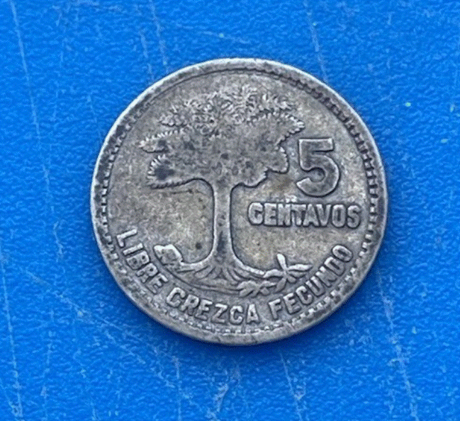  SILBER - Guatemala 5 Centavos 1950 Ceiba-Baum (Nationalbaum)   