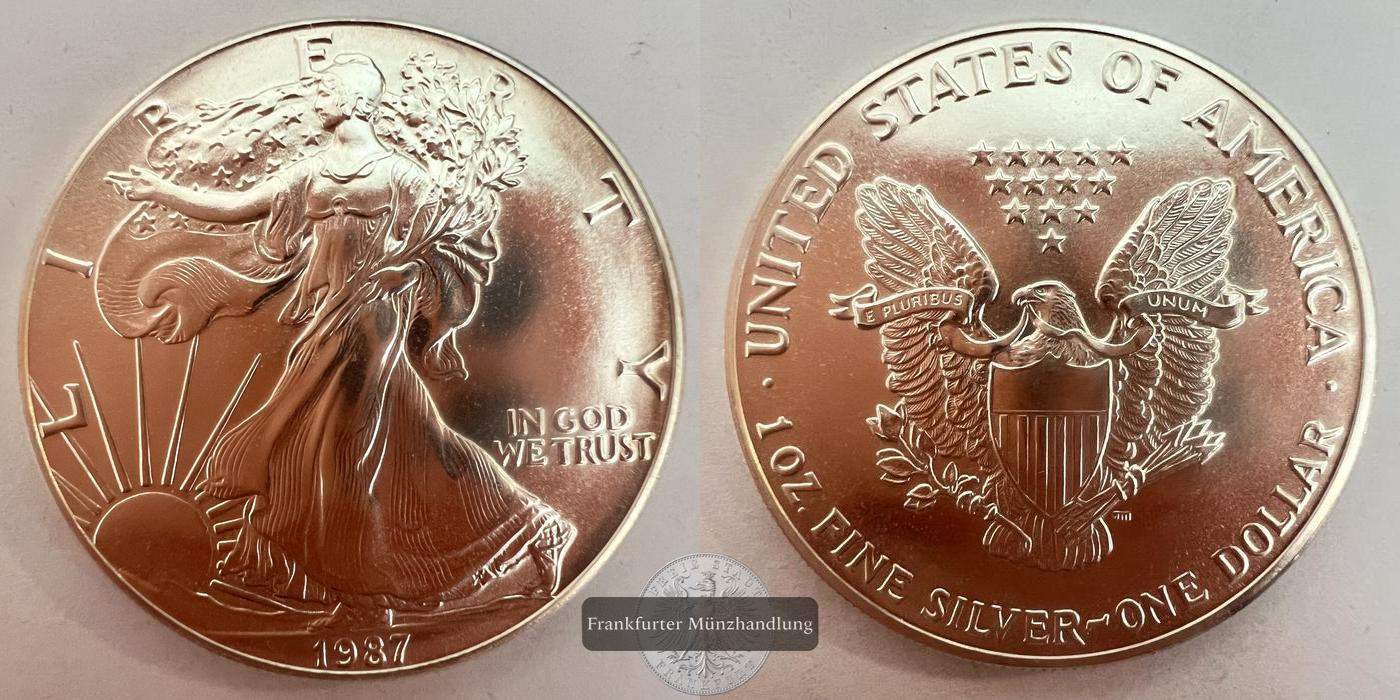  USA 1 Dollar 1987 Walking Liberty KM#273 FM-Frankfurt Feinsilber: 31,1g   