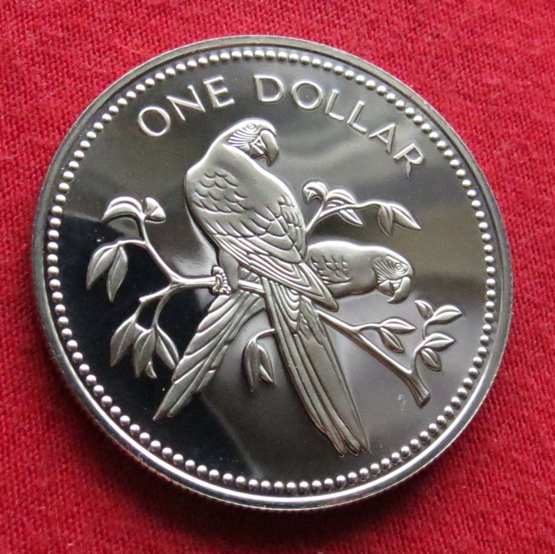 Belize 1 $ 1980 birds proof