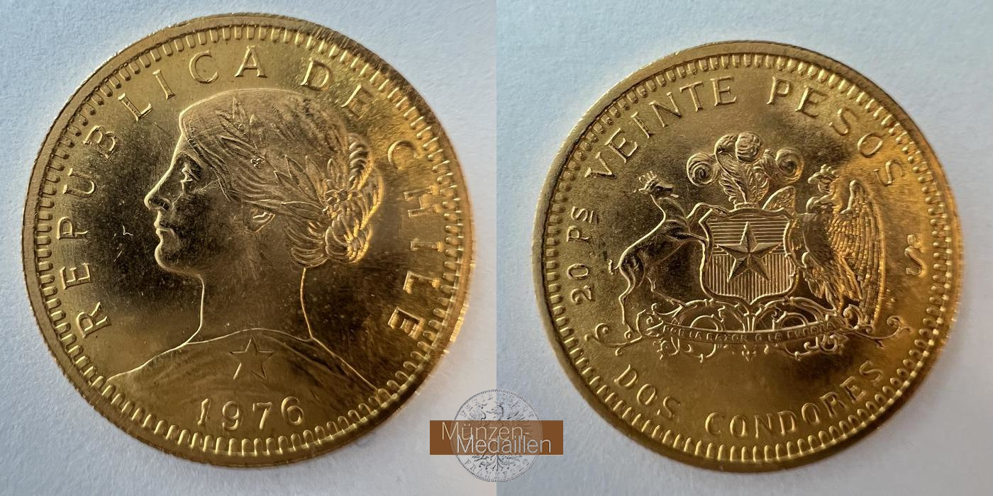  Chile, Republik seit 1818.  20 Pesos 1976 So.  MM-Frankfurt KM#188 Feingold: 3,66g   