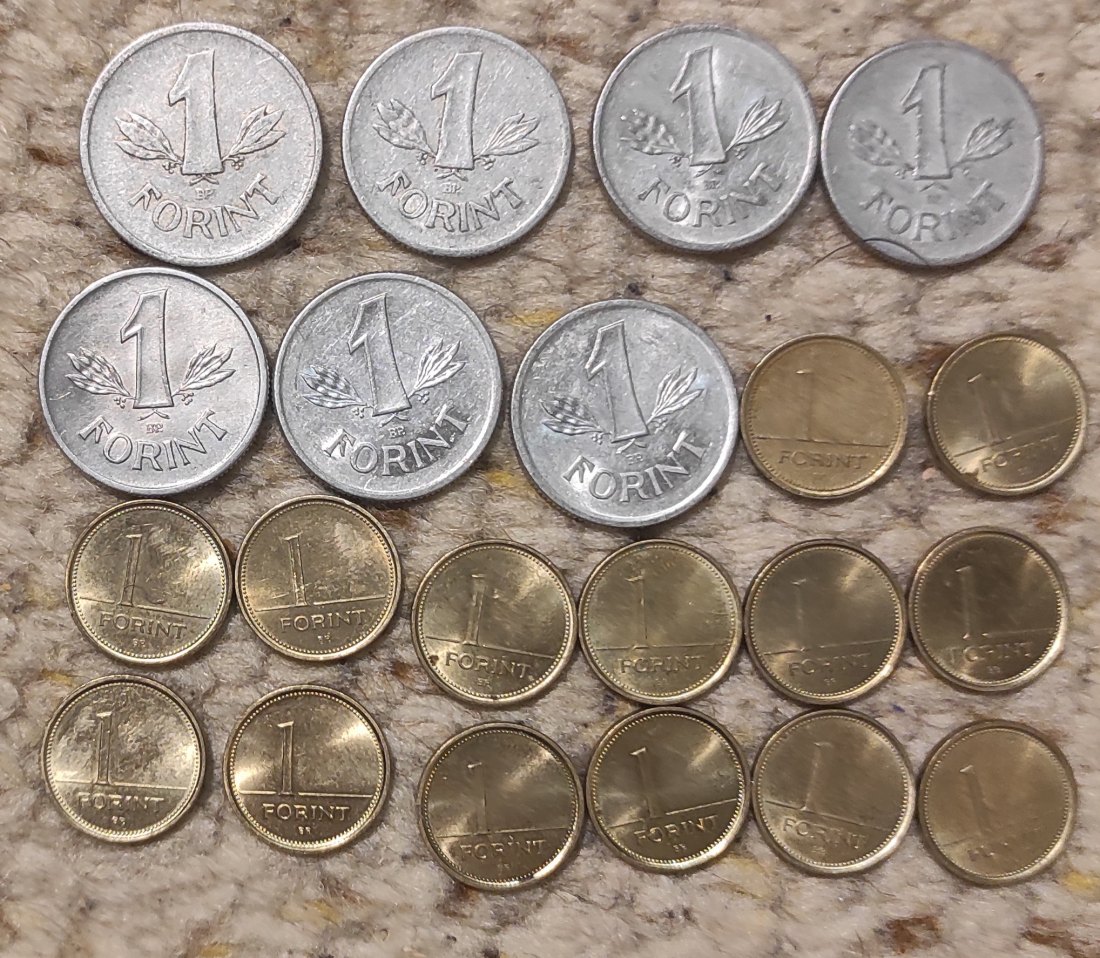  Set 096: Ungarn Münzlot mit 19 x 1 Forint Stücken   