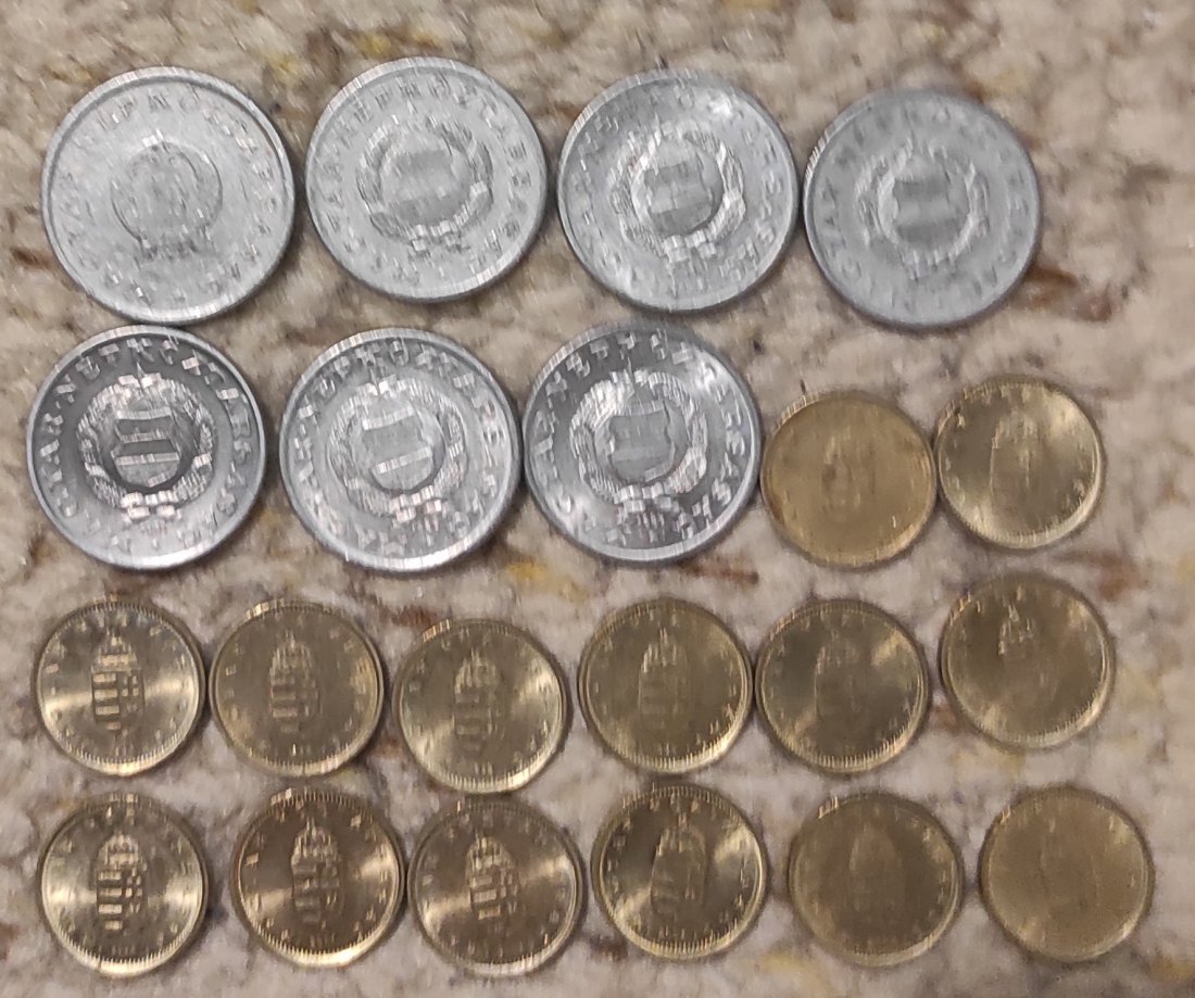  Set 096: Ungarn Münzlot mit 19 x 1 Forint Stücken   