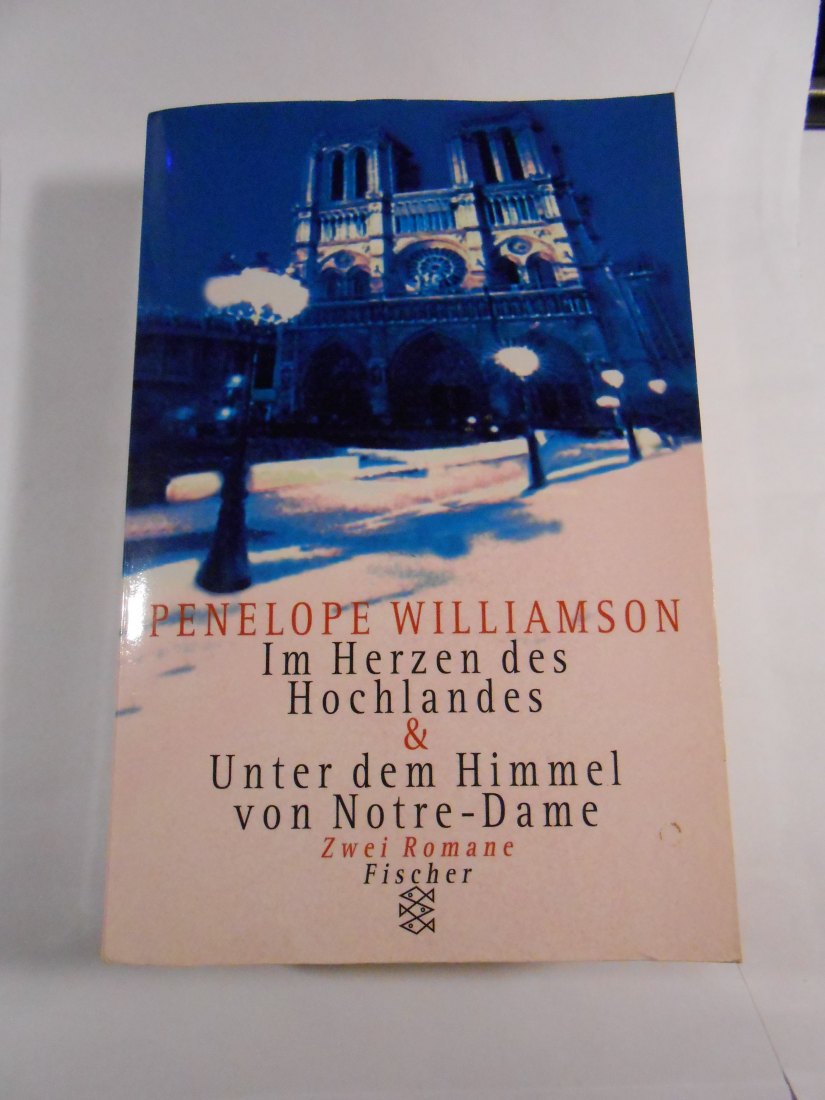 Romane Thriller Abenteuer (43)