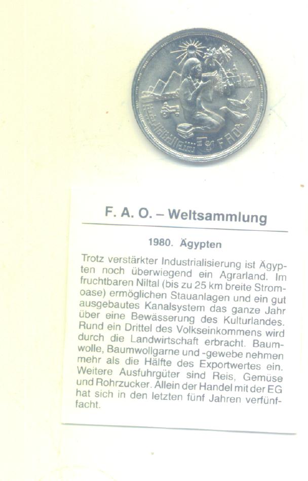  10 Piaster Ägypten 1980 (FAO) (G1522)   