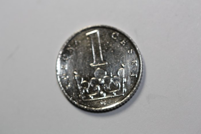 1 Krone Tschechoslowakei 1995 (N237)