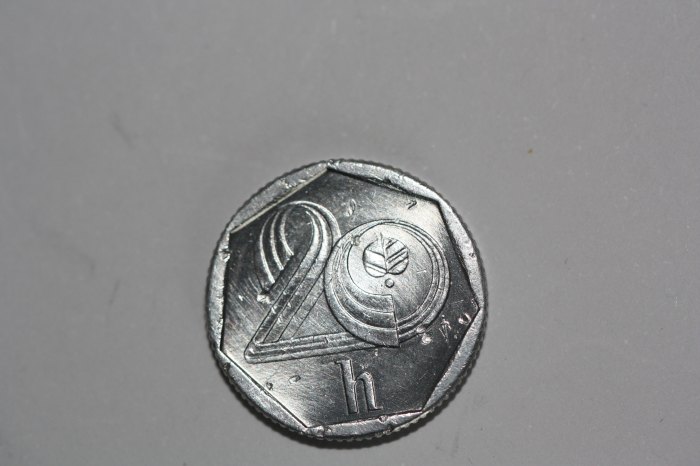 20 Heller Tschechoslowakei 1996 (N233)